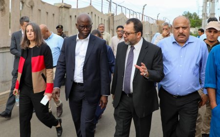 وزير الكهرباء ونائب رئيس البنك الدولي يتفقدان محطة الحسوة ويستعرضان احتياجاتها الفنية