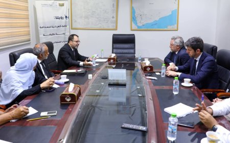 وزير الكهرباء يبحث مع نائب رئيس البنك الدولي تعزيز التعاون ضمن الشراكة