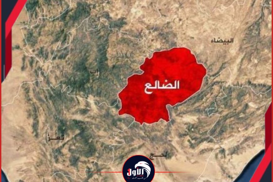 بالصورة..جريمة تهز (سوق سناح) ومحافظ الضالع يوجه بسرعة القبض على الجاني