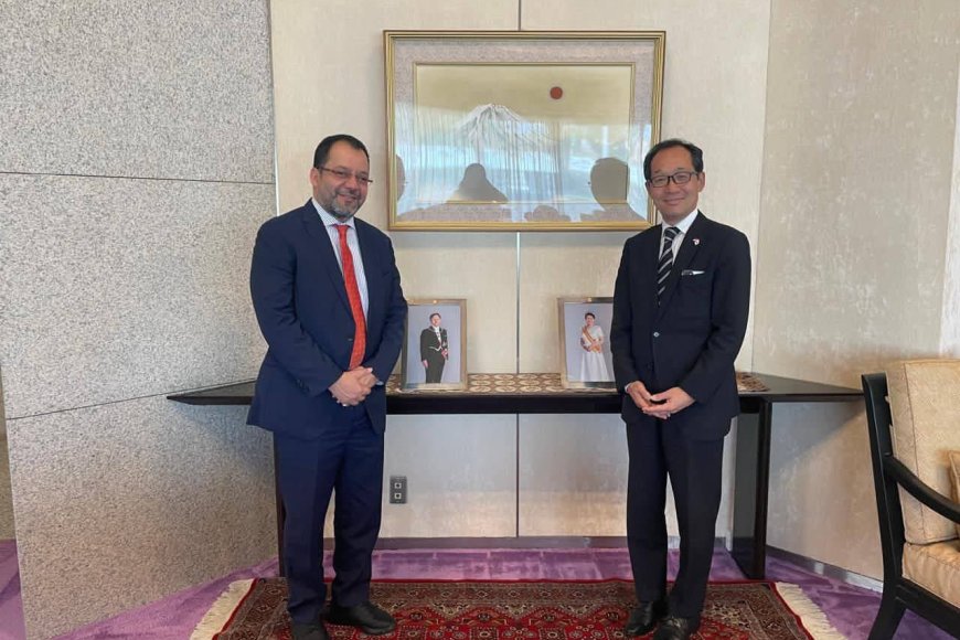 وزير الكهرباء يبحث مع اليابان دعم مشاريع الطاقة المتجددة في اليمن