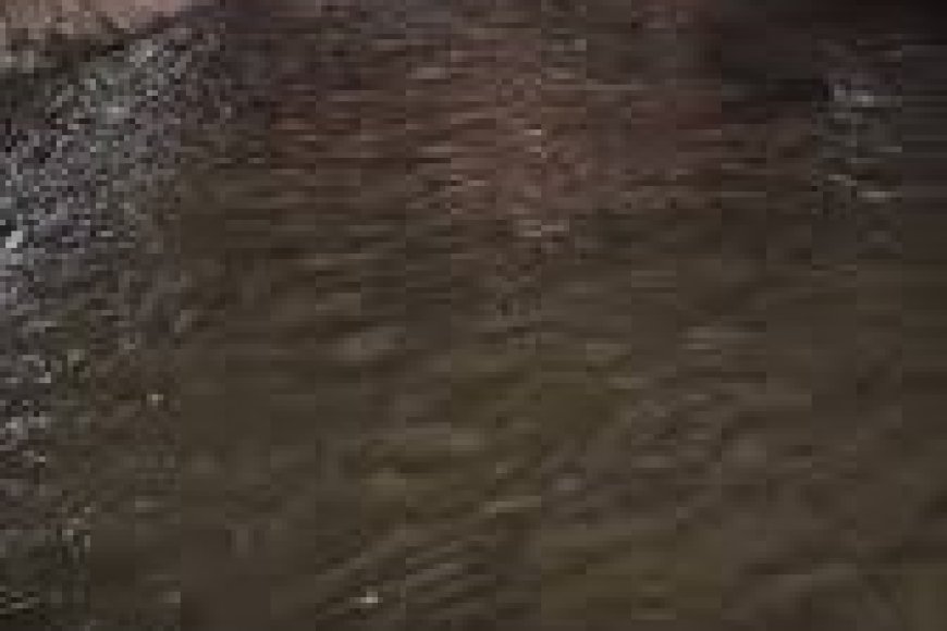 عاجل وخطير.. سيول مفاجئة تتجه نحو (لحج وعدن) تحذيرات للسكان (صور)