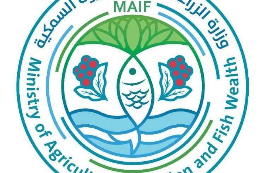 وزارة الزراعة والأسماك تحذر الصيادين من تداعيات المنخفض الجوي