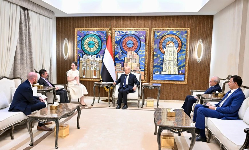 رئيس مجلس القيادة يؤكد أهمية استمرار الضغوط القصوى على النظام الإيراني وتفكيك مليشياته المسلحة