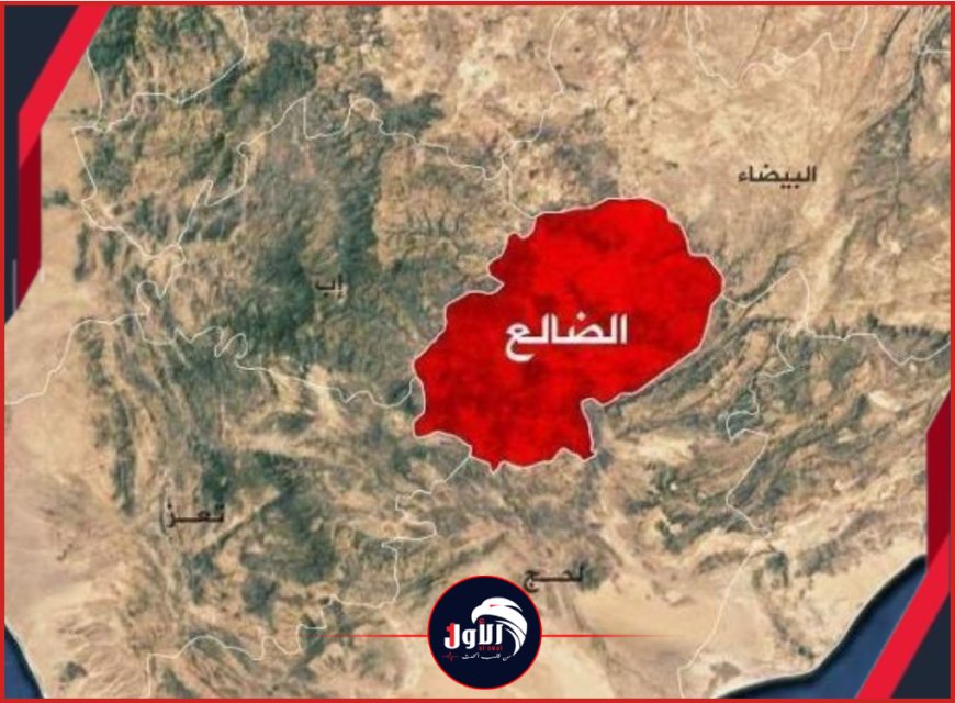 بالصورة..جريمة تهز (سوق سناح) ومحافظ الضالع يوجه بسرعة القبض على الجاني