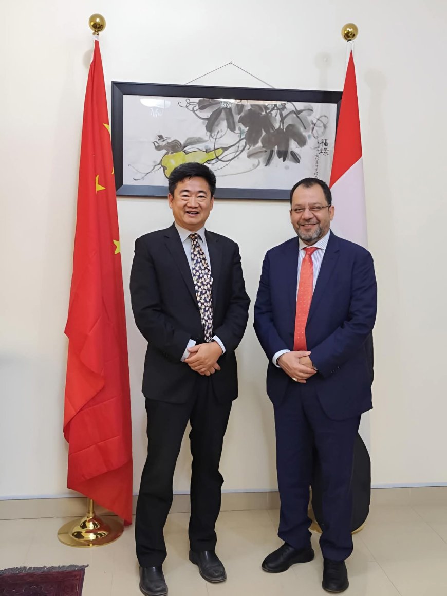 وزير الكهرباء يؤكد أهمية الشراكة مع الصين لتطوير البنية التحتية للطاقة