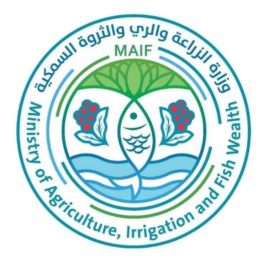 وزارة الزراعة والأسماك تحذر الصيادين من تداعيات المنخفض الجوي