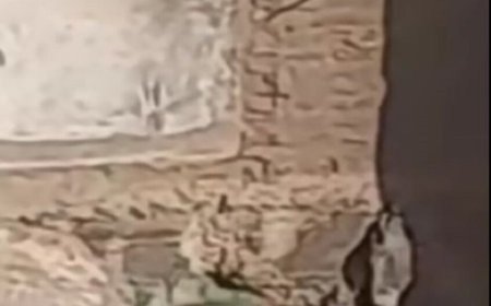 مصر .. بعد انتشار فيديو مثير للجدل  لـ 3 شبان و فتاة .. الجهات الأمنية توضح هل كان تعدي أم لا ؟ تفاصيل