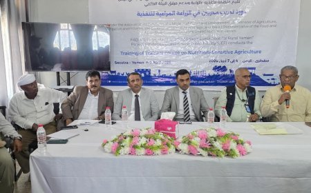 تدشين دورة تدريب مدربين في الزراعة المراعية للتغذية بمحافظة سقطرى