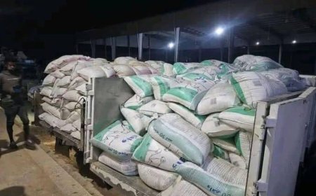 تكدس القمح في الجوف.. قيود مليشيا الحوثي تخنق المزارعين وتفاقم خسائرهم