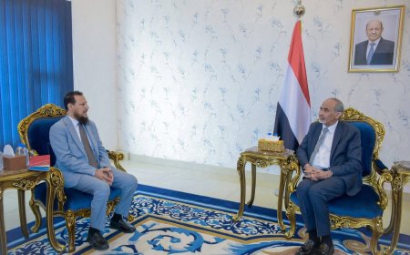 عضو مجلس القيادة محمود الصبيحي يشدد على مضاعفة الجهود لمعالجة اوضاع الكهرباء