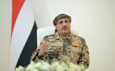 قيادة مقاومة الدريهمي تناشد طارق صالح التدخل لإنقاذ المقاومة