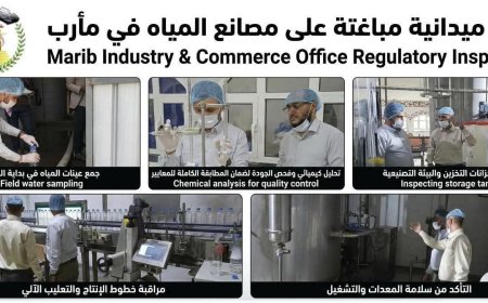 حملة تفتيش ميدانية مفاجئة تستهدفت منشآت إنتاج المياه في مديرية الوادي