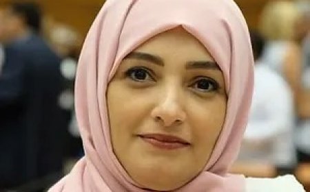 الصراري: إحاطة غروندبرغ تكشف عجزًا دوليًا عن فرض حلول في اليمن