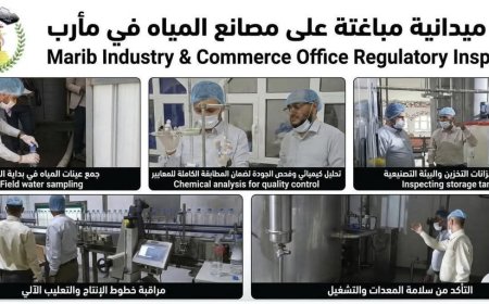 حملة تفتيش ميدانية مفاجئة تستهدفت منشآت إنتاج المياه في مأرب