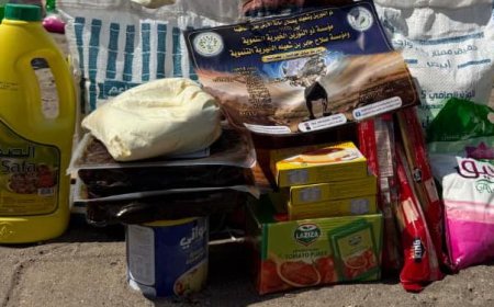 ذو النورين وبن شعيله تزوران الأطفال المصابين بأمراض مزمنة بمنقطة الكود وتقدمان لهم المساعدات