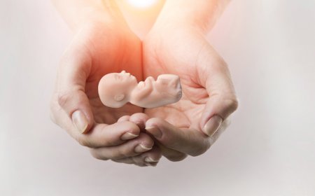 " تشوه الأجنة " ..  تعرف على مواد في منزلك قد تسبب ذلك