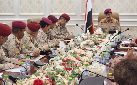 وزير الدفاع يعقد اجتماعا بهيئة التدريب والتأهيل ويوجه بمضاعفة الجهود لرفع كفاءة القوات المسلحة