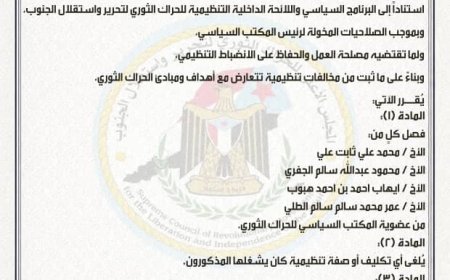 فادي باعوم يصدر قراراً بفصل أربعة من أعضاء المكتب السياسي للحراك الثوري