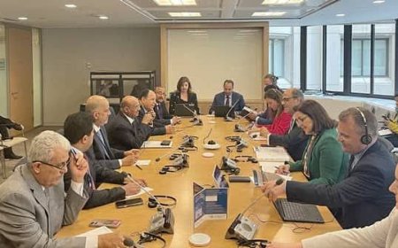 محافظ البنك المركزي ووزير المالية يلتقيان مدير ادارة الشرق الأوسط في صندوق النقد الدولي