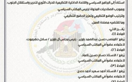 فادي باعوم يصدر قراراً برفع أسماء لعضوية المكتب السياسي للحراك الثوري