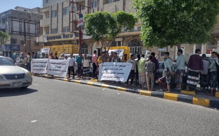 تعز.احتجاجات لملاك مزارع ومحلات الدواجن أمام مقر المحافظة.