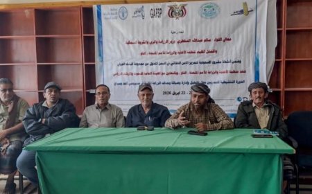 لحج / تدشين دورة تنشيطية للمدربين حول تشغيل وإدارة وصيانة وحدات الزراعة المائية 