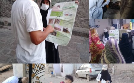 تحرك صحي ميداني في التواهي بعدن يستهدف بؤر البعوض ويعزز الوقاية في الشولة