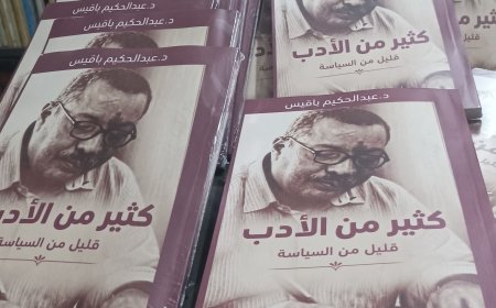 ​(كثير من الأدب.. قليل من السياسة).. إصدار جديد للدكتور عبدالحكيم باقيس ​تعرف على أماكن بيعه   
