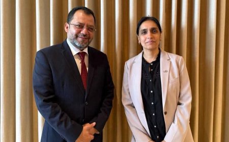 وزير الكهرباء يشيد بالدعم البريطاني ويبحث تعزيز التعاون في قطاع الطاقة