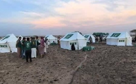 إشادة أممية لافتة بالدعم السعودي لليمنيين