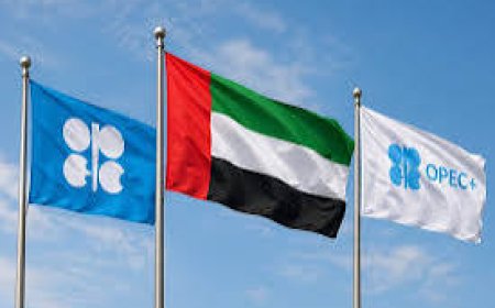 في اعلان مفاجئ  ..  الامارات تنسحب من منظمة أوبك .. فهل جاء ذلك تلبية لرغبات ترامب ام الرغبة في الابتعاد عن الدول المجاورة ؟