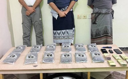 إدارة مكافحة المخدرات في عدن بعملية نوعية حازمة تطيح بثلاثة متهمين بحوزتهم 12 كيلو حشيش مخدر بمنطقة بئر فضل