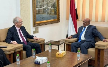 محافظ البنك المركزي يلتقي السفير الألماني لبحث التطورات الاقتصادية وسبل تعزيز التعاون