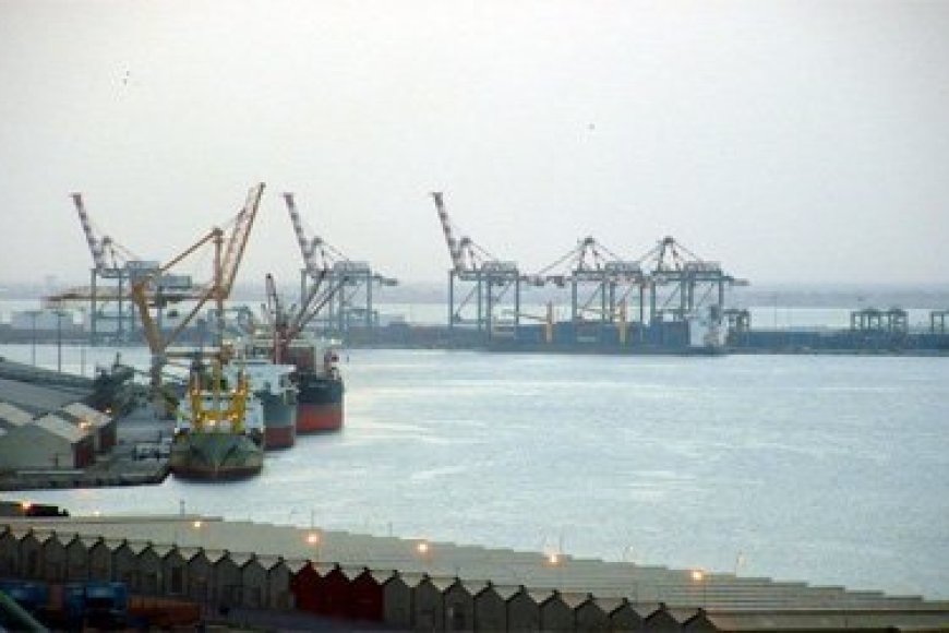 تحرك مفاجئ: عدن تتجه لتحويل مينائها إلى مركز ترانزيت إقليمي ومباحثات مع خطوط ملاحية كبرى