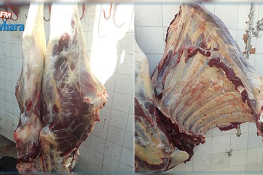 تعز: جزار يذبح بقرة نافقة ويطعمها للأهالي.. فضاعة الاستهتار بأرواح المواطنين...