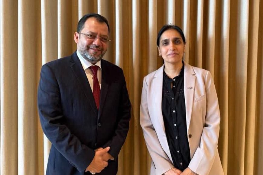 وزير الكهرباء يشيد بالدعم البريطاني ويبحث تعزيز التعاون في قطاع الطاقة