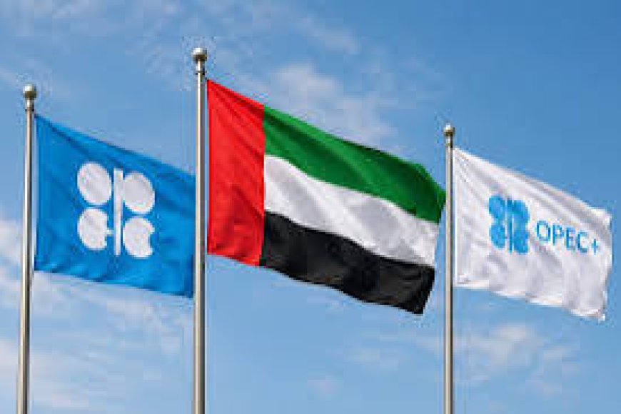 في اعلان مفاجئ  ..  الامارات تنسحب من منظمة أوبك .. فهل جاء ذلك تلبية لرغبات ترامب ام الرغبة في الابتعاد عن الدول المجاورة ؟