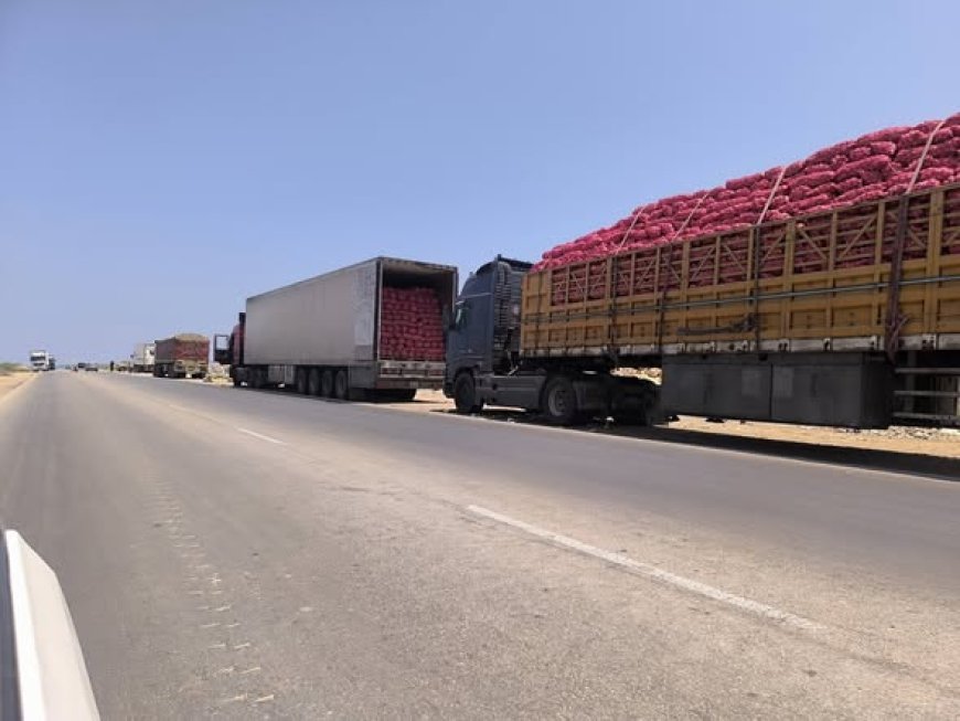 خطر (التلف) يهدد البضائع.. مئات الشاحنات عالقة في قبضة مسلحين قبليين في مفرق الحموم بحضرموت