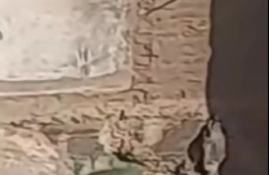 مصر .. بعد انتشار فيديو مثير للجدل  لـ 3 شبان و فتاة .. الجهات الأمنية توضح هل كان تعدي أم لا ؟ تفاصيل