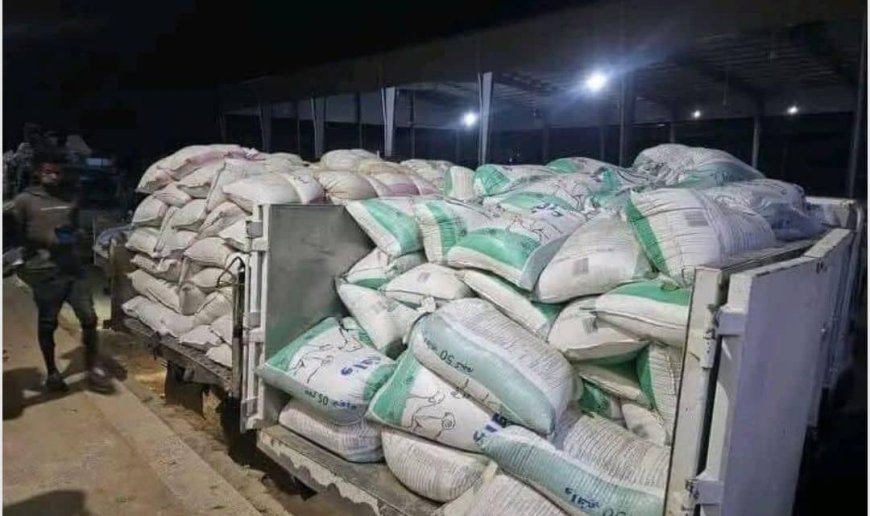 تكدس القمح في الجوف.. قيود مليشيا الحوثي تخنق المزارعين وتفاقم خسائرهم