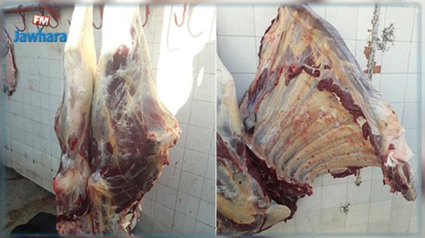 تعز: جزار يذبح بقرة نافقة ويطعمها للأهالي.. فضاعة الاستهتار بأرواح المواطنين...