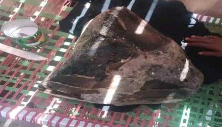 صياد يمني عثر على عنبر نادر يقدر بـ700 ألف ريال بضربة حظ .. تفاصيل