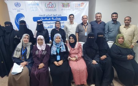 الجهاز المركزي للإحصاء يختتم ورشة التحضيرات لمسح وفيات الأمهات في عدن