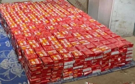 مدير جمارك الوديعة: احباط تهريب مواد كيميائية خطرة وأدوية مقيدة في منفذ الوديعة