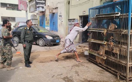 الداؤودي: تواصل حملة إزالة التعديات على الشوارع العامة بمدينة إنماء في البريقة