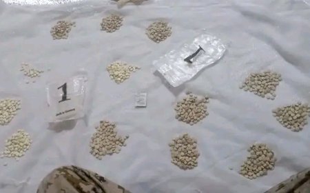 كتيبة أمن وحماية منفذ الوديعة تُحبط محاولة تهريب أكثر من ألف حبة كبتاجون كانت في طريقها إلى السعودية
