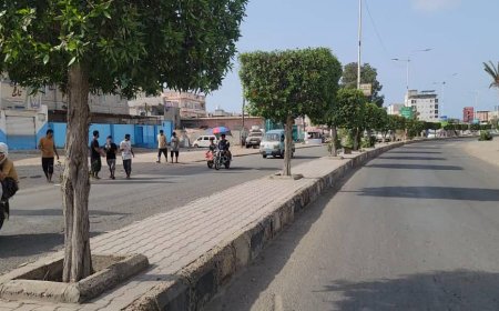 تنفيذ حملة غرس شتلات جديدة وتشذيب الأشجار في الشوارع العامة بمديرية البريقة