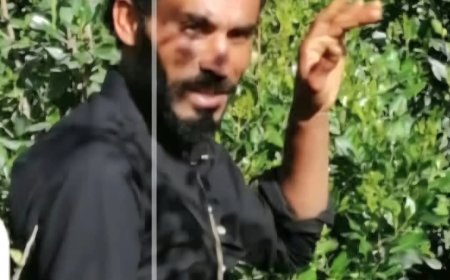 تعز..أهالي قرية الزتان بمديرية جبل حبشي يطالبون بضبط مطلوب أمني متهم بسرقة المواشي