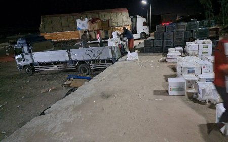 قوات الامن الوطني بمحافظة لحج تضبط كمية من المبيدات الحشرية التالفة 