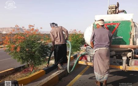 صندوق النظافة والتحسين يواصل حملات التسميد والعناية بالتشجير بسيئون